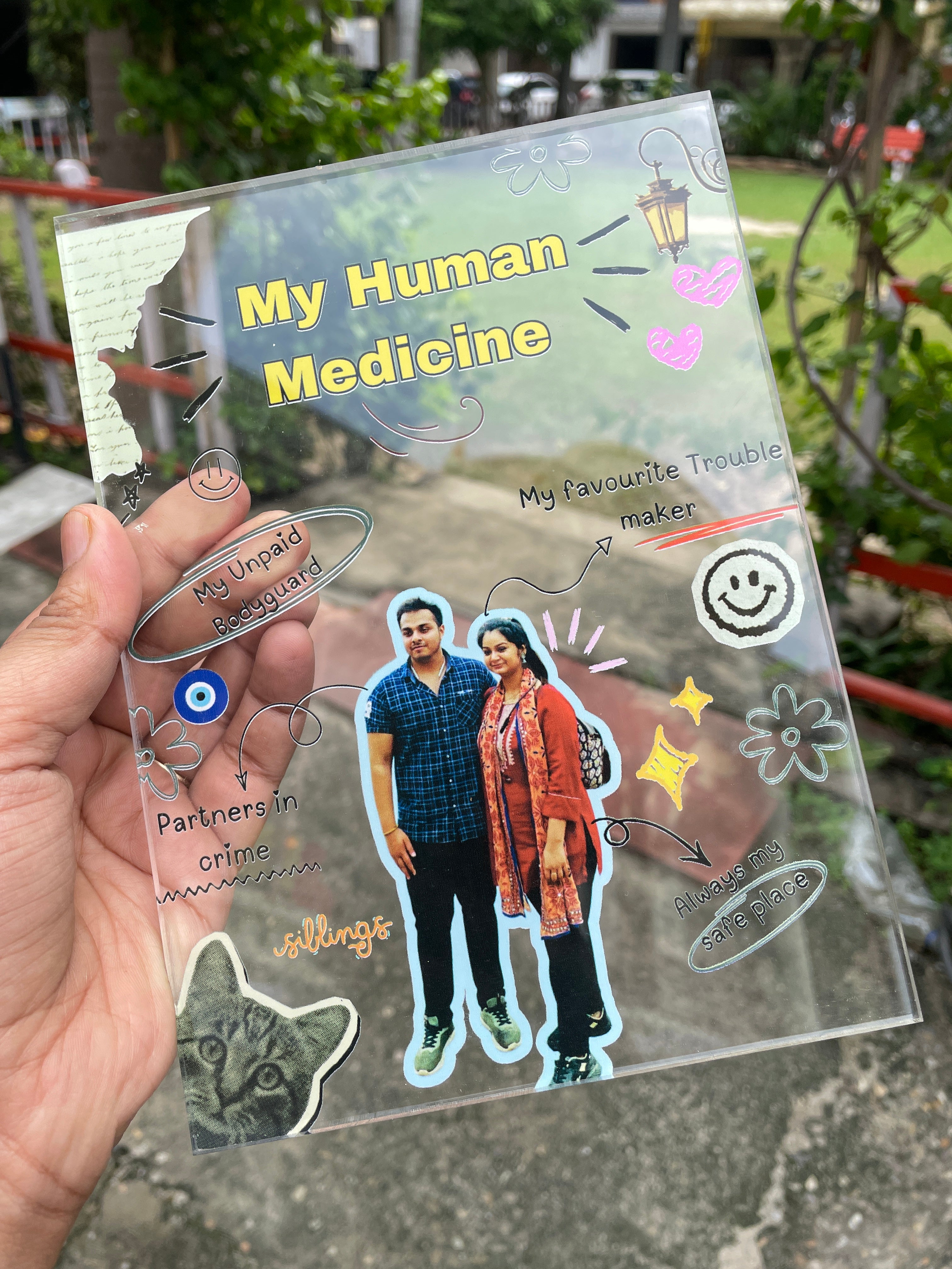 Human medicine frame