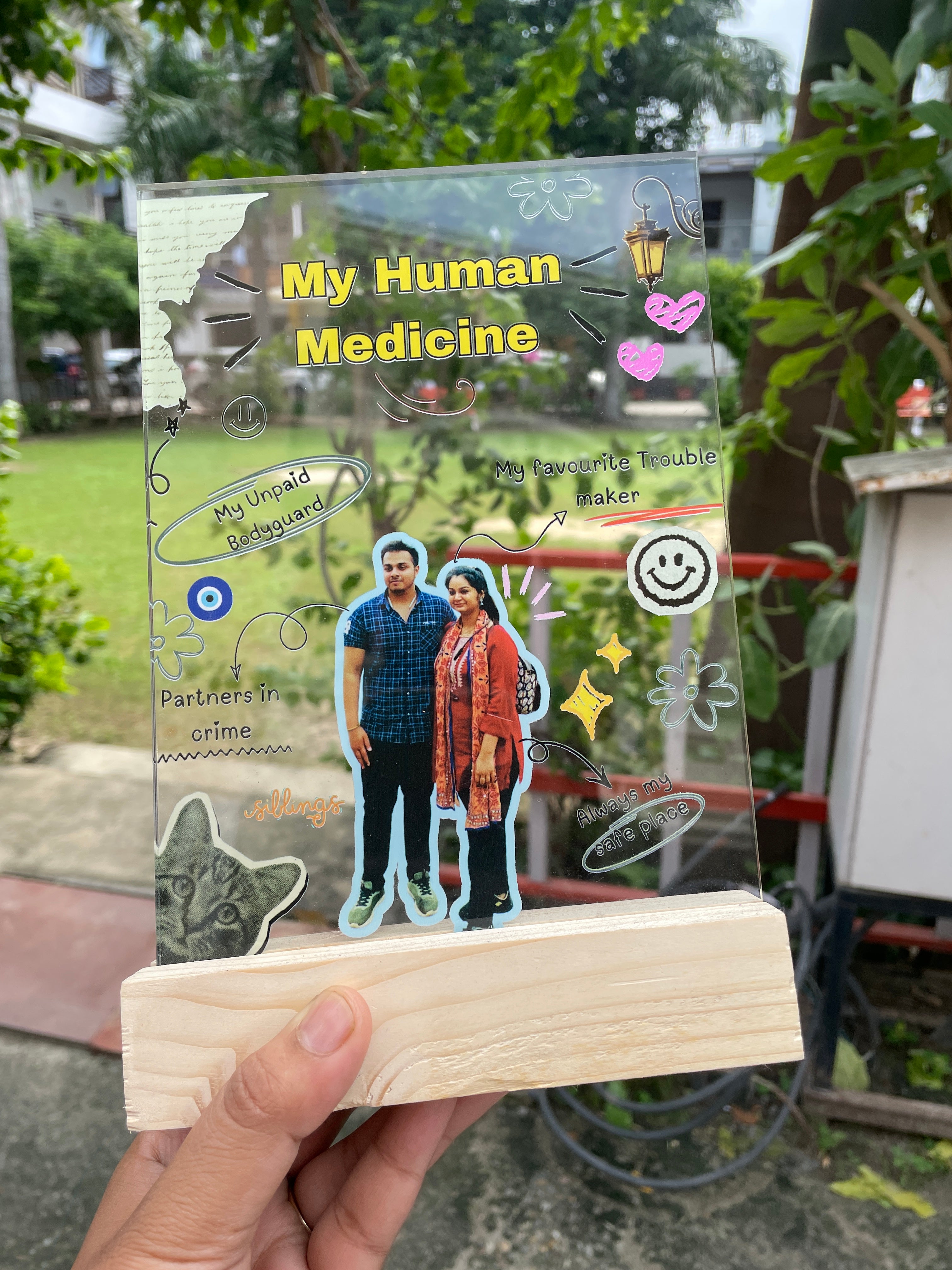 Human medicine frame